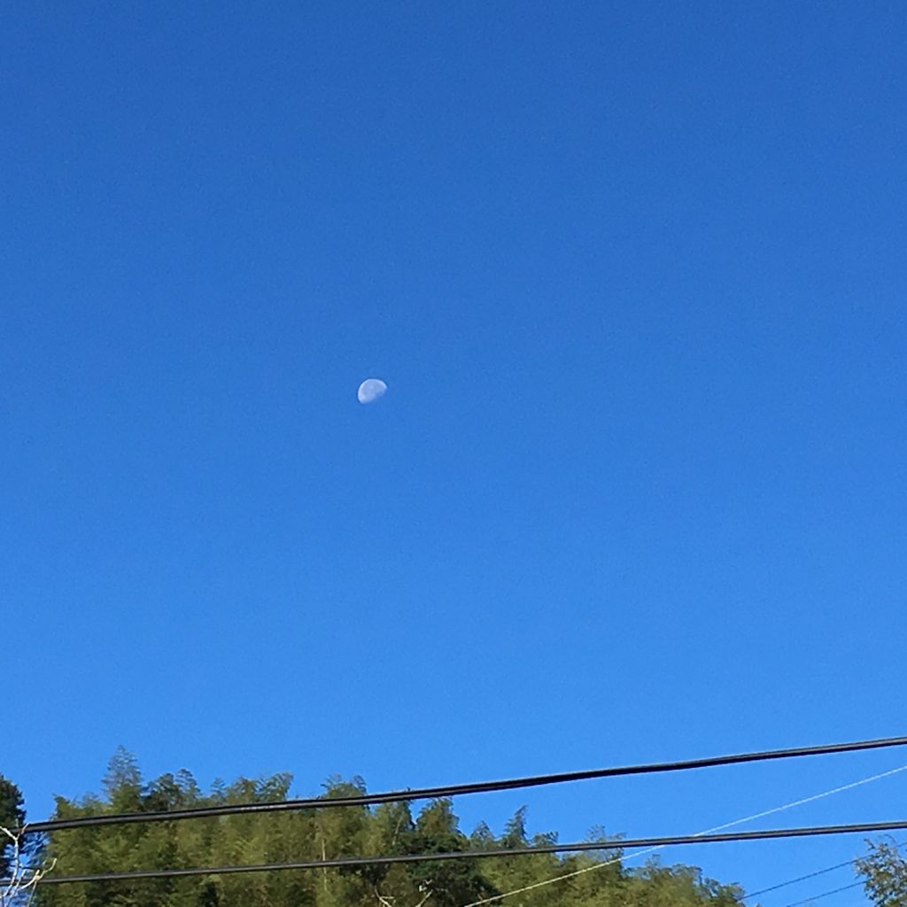 教育的投資報酬率? 天才的養成?