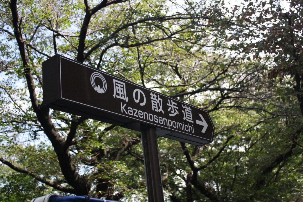 娜烏西卡-風之散步道